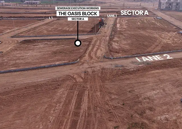 65869Artboard 5 (3).webp